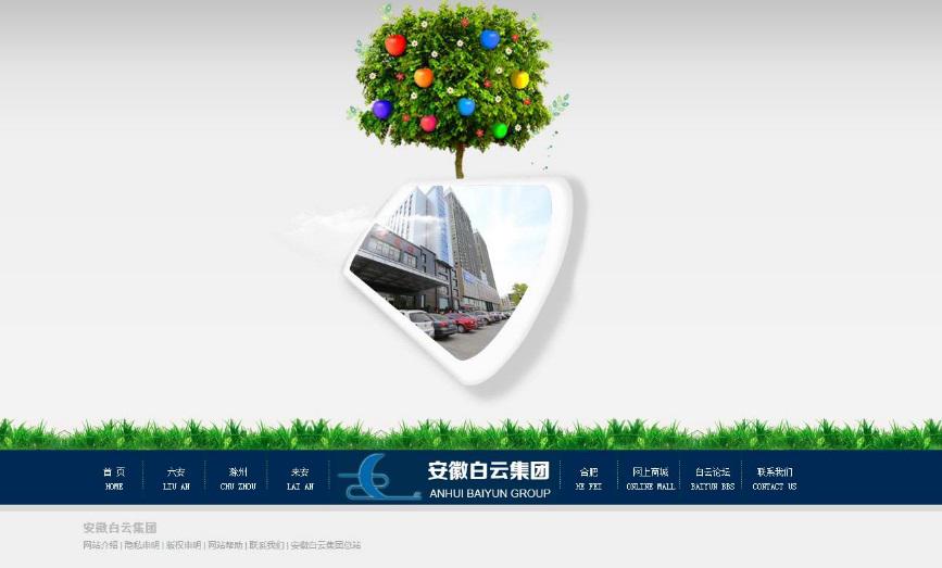 安徽白云集团网站建设